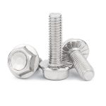 Boulon à bride SS